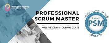scrum master certification online