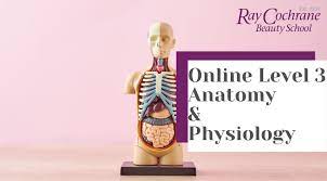 online physiology course