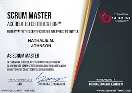 csm certification online