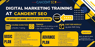 seo digital marketing training