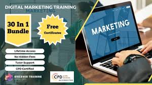 search marketing training